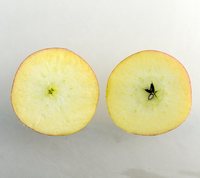 Rubinola æble gennemskåret